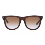Wayfarer Reverse RB R0502S 6709/CB
