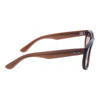 Wayfarer Reverse RB R0502S 6709/CB