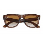 Wayfarer Reverse RB R0502S 6709/CB