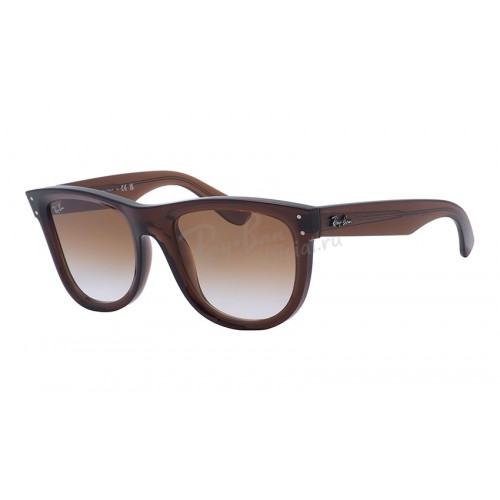 Wayfarer Reverse RB R0502S 6709/CB