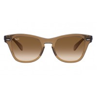 Ray-Ban Icons RB 0707S 6640/51