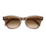 Ray-Ban Icons RB 0707S 6640/51