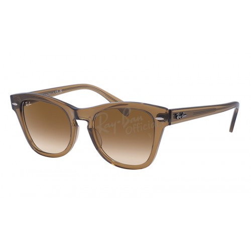 Ray-Ban Icons RB 0707S 6640/51