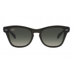 Ray-Ban Icons RB 0707S 6642/71