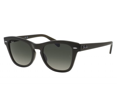 Ray-Ban Icons RB 0707S 6642/71