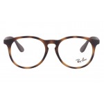 Junior Vista RB 1554 3616