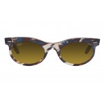 Wayfarer Oval Change RB 2242 1386/85