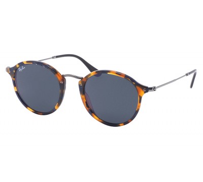 Ray-Ban 2447 1158/R5 Round Icons