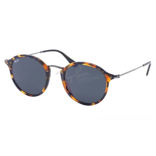 Ray-Ban 2447 1158/R5 Round Icons