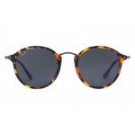 Ray-Ban 2447 1158/R5 Round Icons