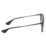 Erika Metal RB 3539 002/8G