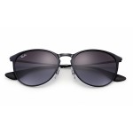 Erika Metal RB 3539 002/8G