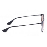Erika Metal Evolve RB 3539 002/Q4