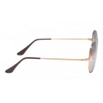 Aviator Metal II RB 3689 001/GE Bi-Gradient