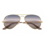 Aviator Metal II RB 3689 001/GE Bi-Gradient