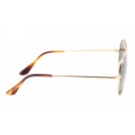 Aviator Metal II RB 3689 9147/31