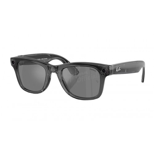 Meta Wayfarer Coperni RW 4006S 6650/6G Limited Edition