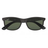 Ray-Ban 4202 6069/71 Andy