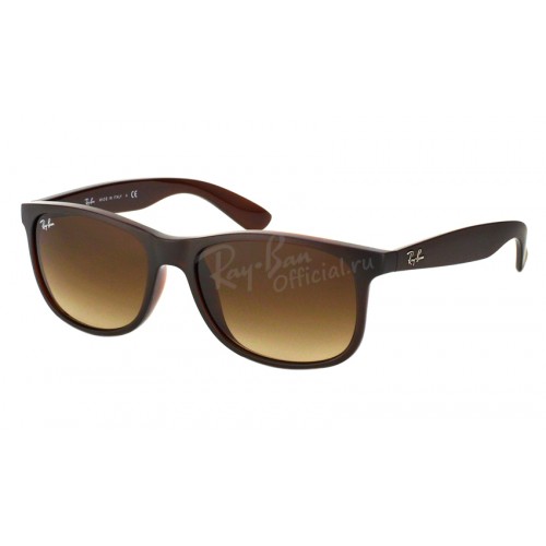 Ray-Ban 4202 6073/13 Andy