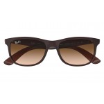 Ray-Ban 4202 6073/13 Andy