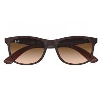 Ray-Ban 4202 6073/13 Andy