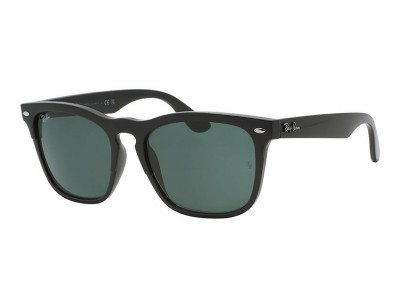 Steve RB 4487 6629/71