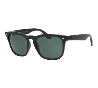 Steve RB 4487 6629/71