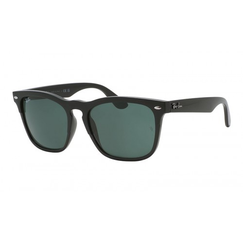 Steve RB 4487 6629/71