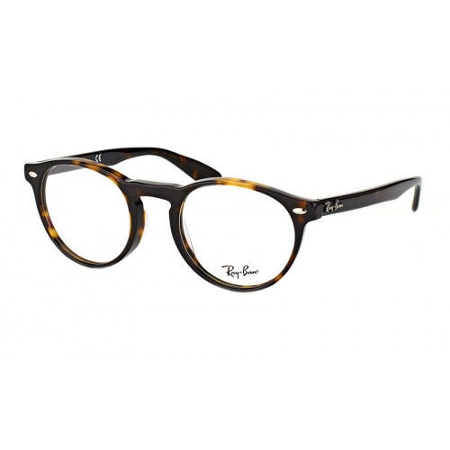 Ray-Ban RX 5283 2012 Icons Round