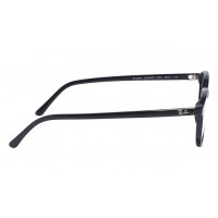 Leonard RX 5393 2000
