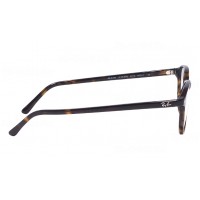 Leonard RX 5393 2012