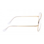 Aviator RX 6489 2890
