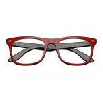 Optics RX 7209 8212