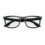 Optics RX 7209 8214