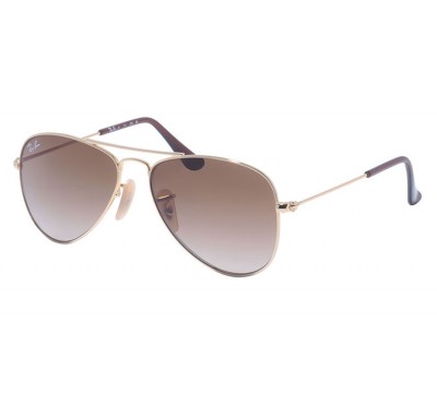 Ray-Ban 9506S 223/13 Kids