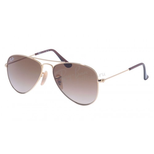Ray-Ban 9506S 223/13 Kids