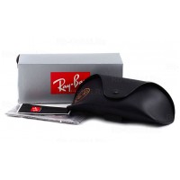 Blaze Aviator RB 3584N 153/11