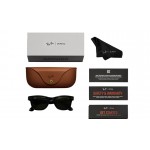 Meta Wayfarer RW 4006 6705/P5