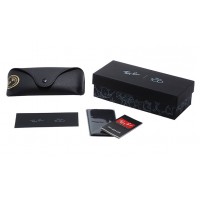 Mega Wayfarer 0840S 6769/B1 Disney 100Th Anniversary
