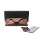 New Wayfarer Web Collection RB 2132 601/76