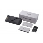 Wayfarer Reverse RB R0502S 6708/3A