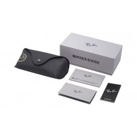 Wayfarer Reverse RB R0502S 6708/3A