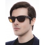 New Wayfarer RB 2132 710