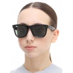 Wayfarer Reverse RB R0502S 6677/VR