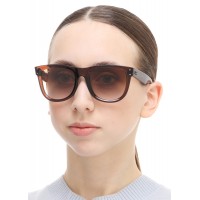 Wayfarer Reverse RB R0502S 6709/CB