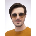 Aviator RB 3025 112/M2 Limited Edition