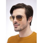 Aviator RB 3025 112/M2 Limited Edition