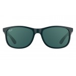Ray-Ban 4202 6069/71 Andy