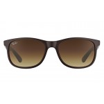 Ray-Ban 4202 6073/13 Andy