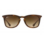 Ray-Ban 4221 865/13 Youngster